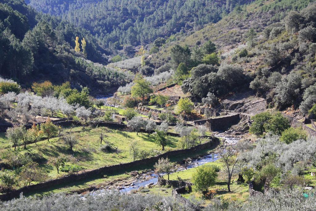 Affittacamere Casa Zambrana Pinofranqueado Esterno foto